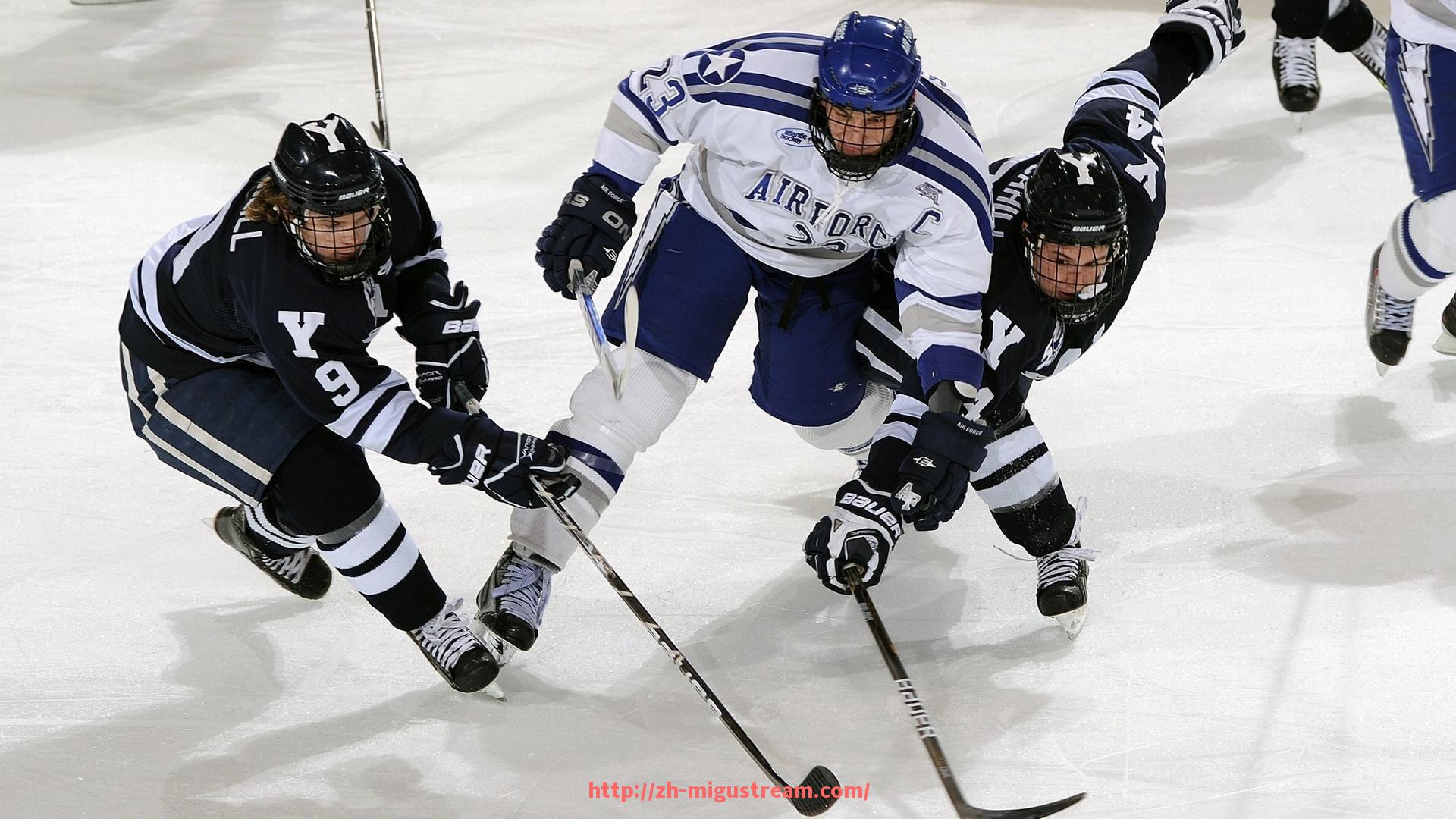 咪咕体育直播-伸背椅健身器材使用方法及适用人群